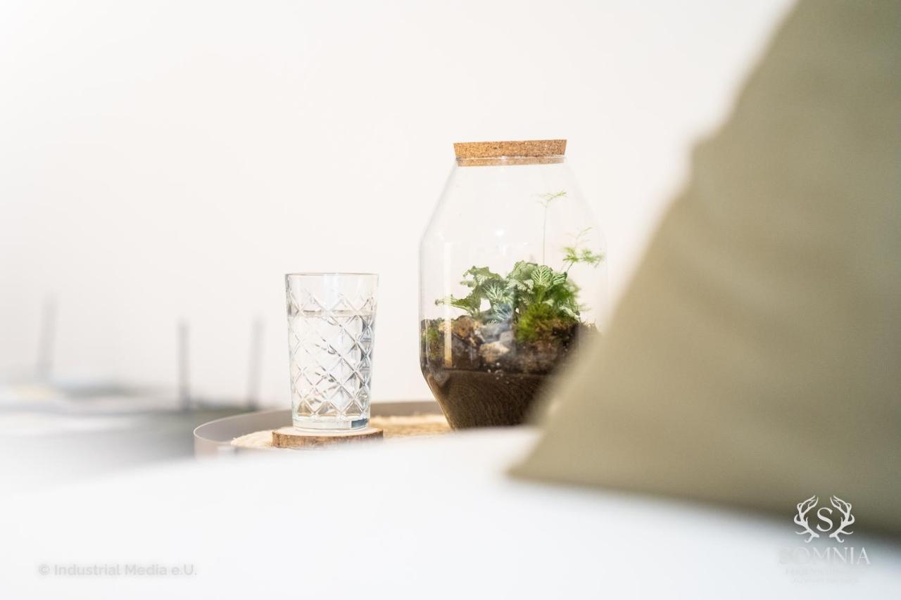 Ferienwohnung Somnia - Altstadt Gmunden Esterno foto